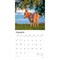 Donkeys | 2026 12 x 24 Inch (Hanging) Monthly Square Wall Calendar | Plastic-Free